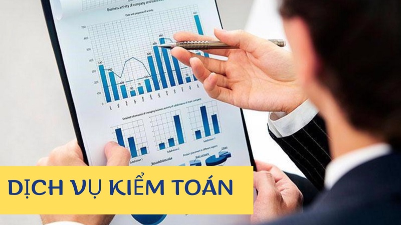 cty dịch vụ kiểm toán