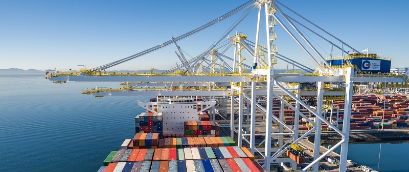 công ty dịch vụ xuất nhập khẩu